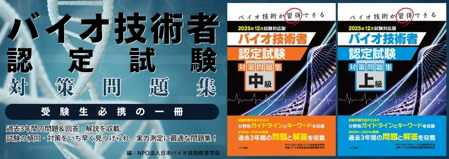 2025ǯ12б Х꽸